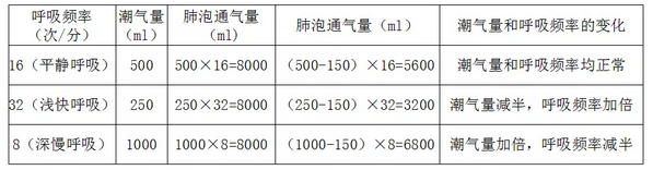 不同呼吸频率和潮气量时的肺通气量和肺泡通气量