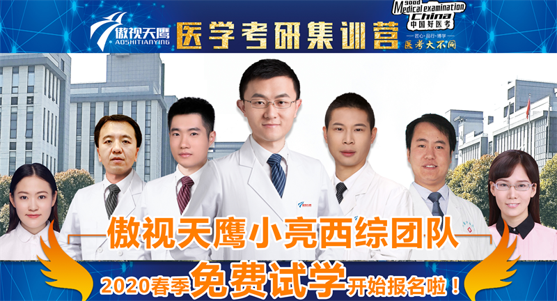 傲视天鹰医考团队