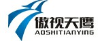 傲视天鹰