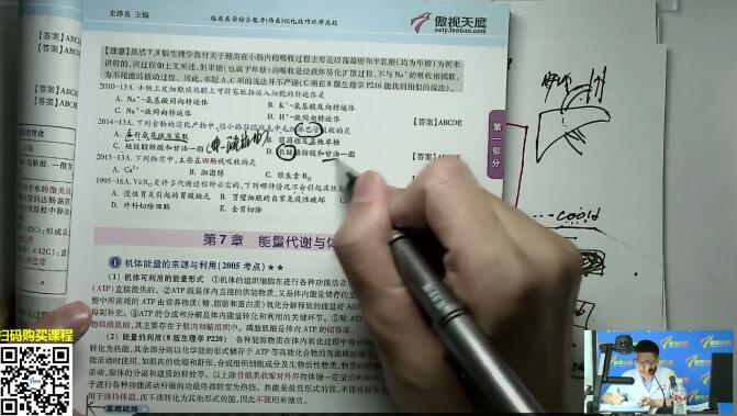 小肠黏膜绒毛