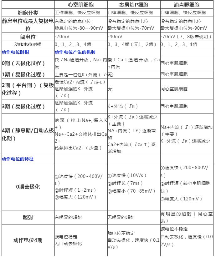 心室肌动作电位的特征